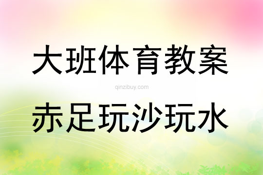大班體育游戲活動教案：赤足玩沙玩水教案(附教學反思)