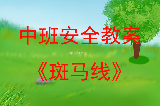 中班安全斑馬線教案反思