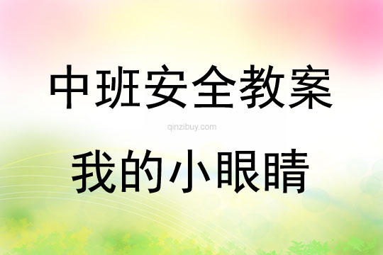 中班安全教育活動我的小眼睛教案反思