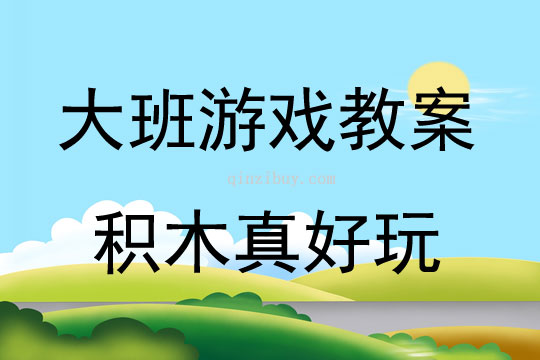 大班游戲活動教案：《積木真好玩》教案(附教學反思)