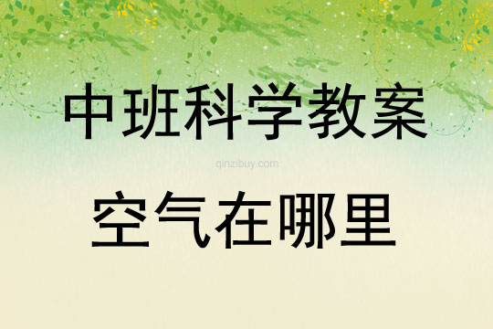 中班科學活動空氣在哪里？教案反思