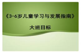幼兒園大班指南目標PPT課件