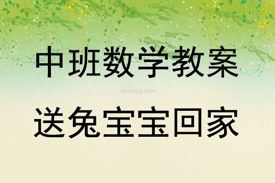 中班數(shù)學(xué)活動(dòng)送兔寶寶回家教案反思