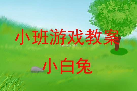 小班游戲活動(dòng)教案:小白兔教案