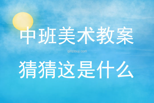 中班美術(shù)活動猜猜這是什么教案反思