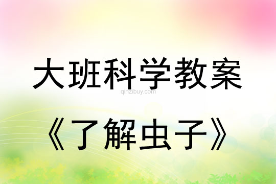 大班科學教案：了解蟲子大班科學教案：了解蟲子