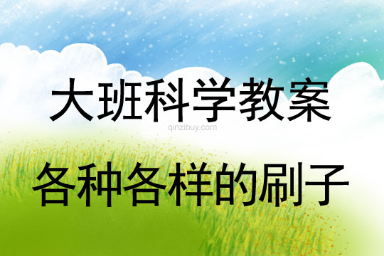 大班科學：各種各樣的刷子大班科學教案：各種各樣的刷子