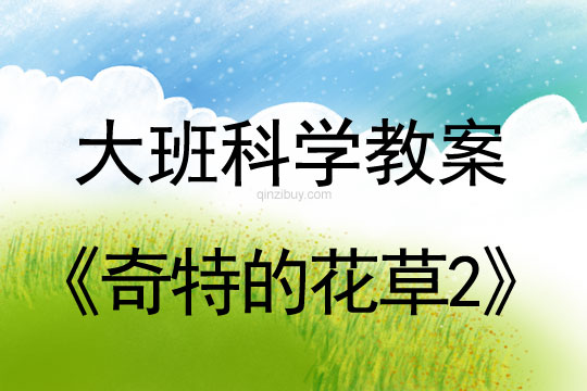 大班科學活動:奇特的花草2大班科學活動:奇特的花草2