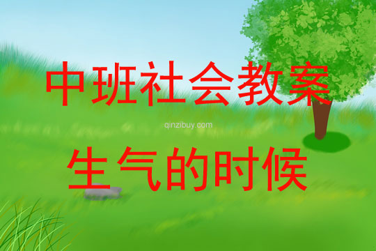 中班社會活動生氣的時候教案反思