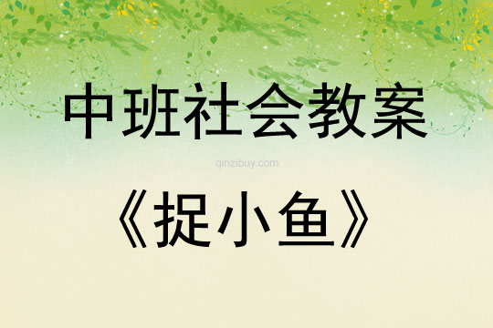 中班社會活動教案：捉小魚教案(附教學反思)