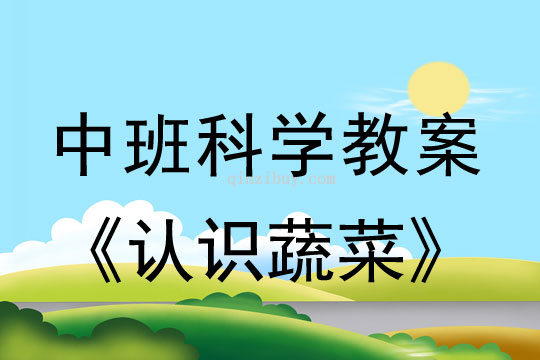 中班科學教案:認識蔬菜幼兒園科學教案:認識蔬菜