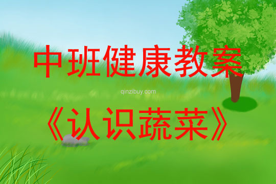 中班健康活動教案：認(rèn)識蔬菜教案(附教學(xué)反思)