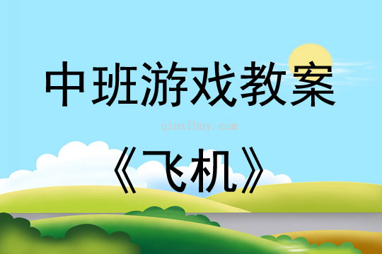 中班結構游戲活動教案：飛機教案