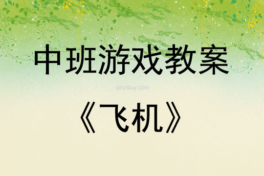 中班結構游戲飛機教案