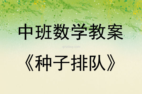 中班數學種子排隊教案反思