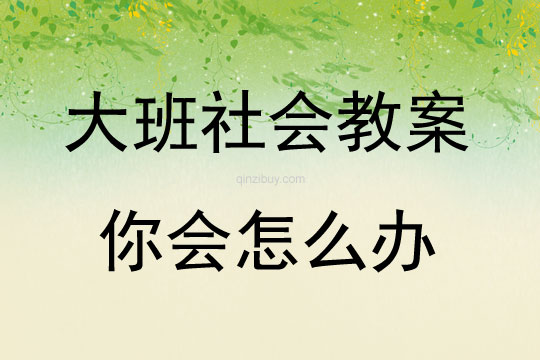 大班社會你會怎么辦教案反思