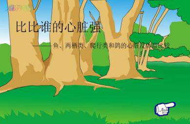幼兒園科學比比誰的心臟強FLASH課件動畫