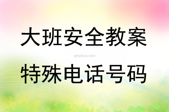 大班安全特殊電話號碼教案反思