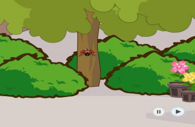 幼兒園小班律動頑皮小瓢蟲FLASH課件動畫