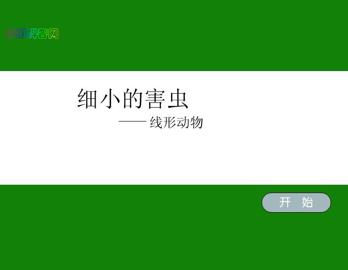 幼兒園細(xì)小的害蟲(chóng)FLASH課件動(dòng)畫(huà)
