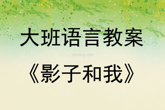 大班繪本影子和我教案反思