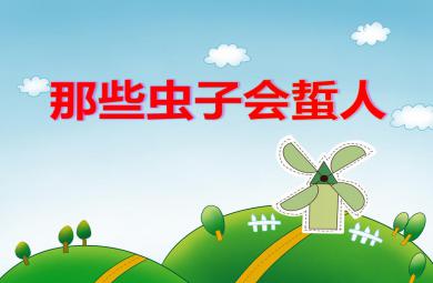 中班安全哪些蟲子會(huì)蟄人PPT課件