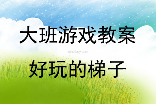 大班體育游戲好玩的梯子教案反思