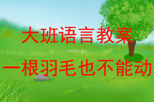 幼兒園大班繪本故事一根羽毛也不能動教案反思