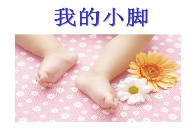 小班主題我的小腳PPT課件