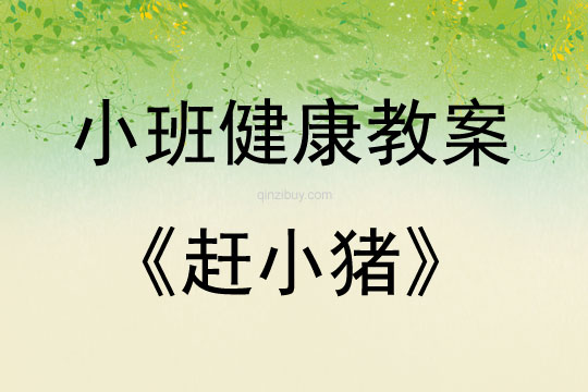 小班健康公開課趕小豬教案反思