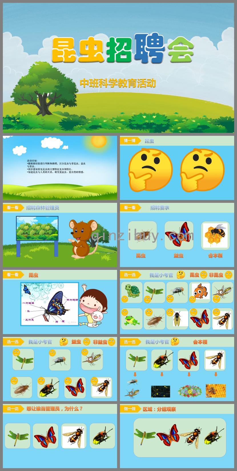 中班科學教育活動昆蟲招聘會PPT課件