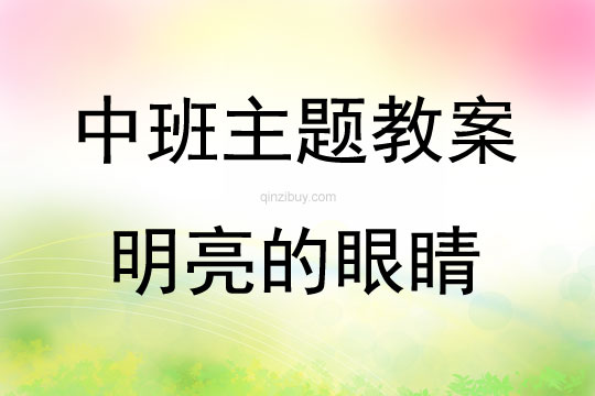 中班藝術明亮的眼睛教案反思