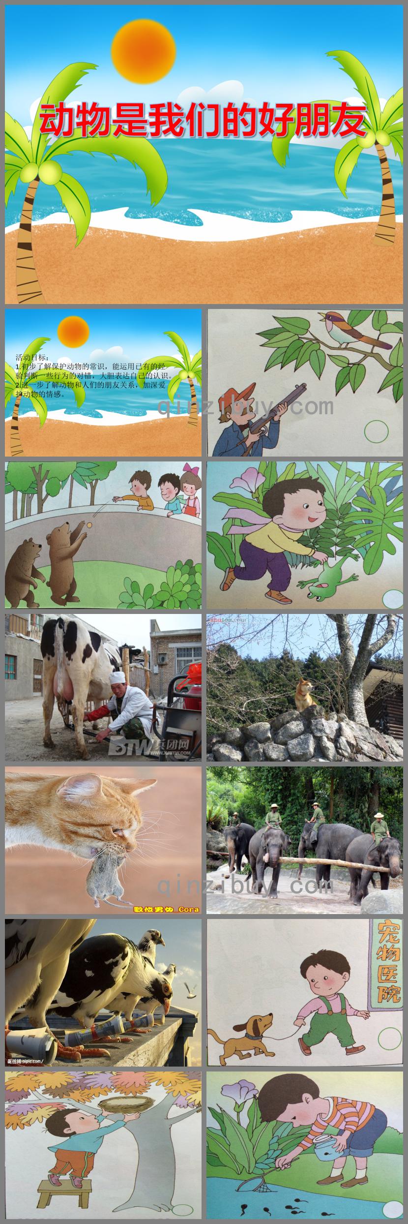 中班社會動物是我們的好朋友PPT課件