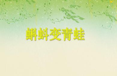 中班科學(xué)活動(dòng)蝌蚪變青蛙PPT課件