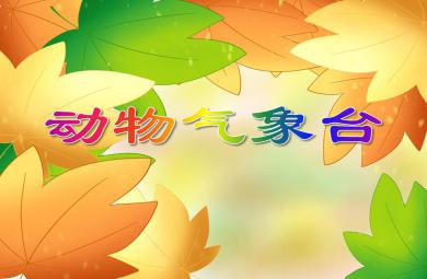 中班語言動物氣象臺PPT課件