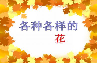 中班美術各種各樣的花PPT課件