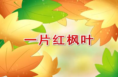 中班語言一片紅楓葉PPT課件