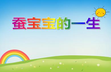 大班科學(xué)優(yōu)質(zhì)課蠶寶寶的一生PPT課件