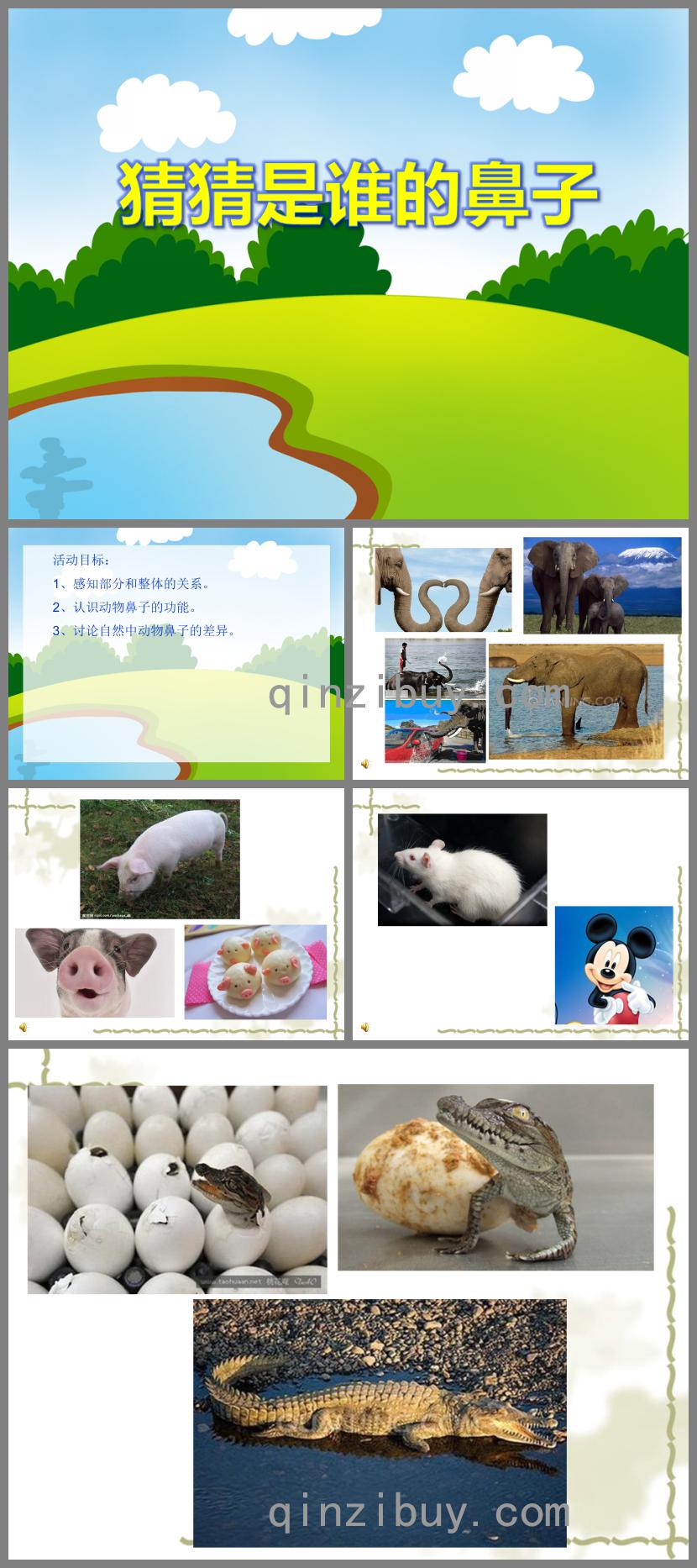 小班科學(xué)活動(dòng)猜猜是誰(shuí)的鼻子PPT課件音效