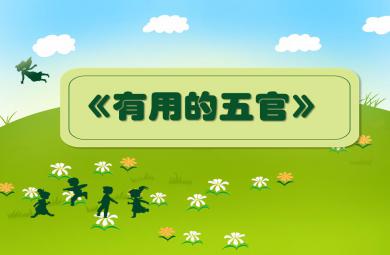 大班健康活動有用的五官PPT課件