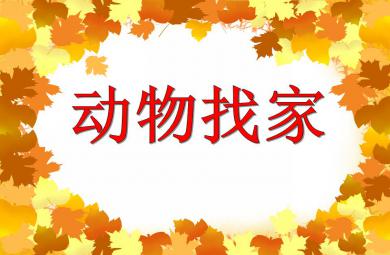 小班綜合動(dòng)物找家PPT課件