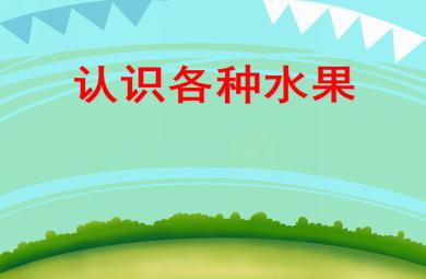 中班社會活動認識各種水果PPT課件