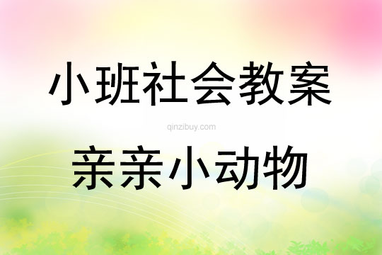 小班社會活動親親小動物教案反思