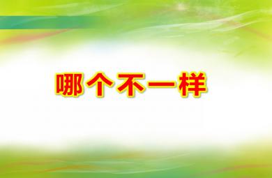 小班數學計算哪個不一樣PPT課件