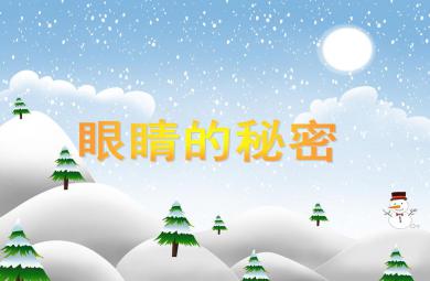 大班健康活動眼睛的秘密PPT課件