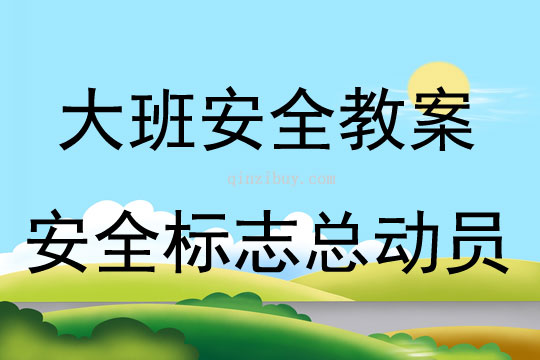 大班安全設計安全標志總動員教案反思