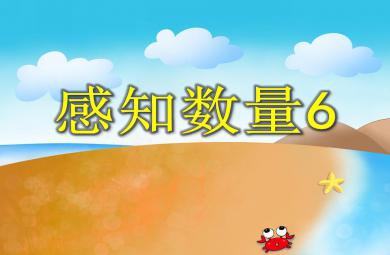 中班數學活動感知數量6 PPT課件