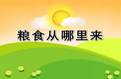 小班社會活動糧食從哪里來PPT課件