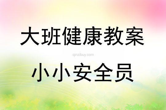 大班健康小小安全員教案反思