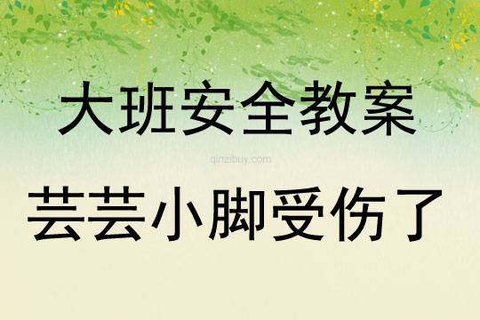 大班安全蕓蕓小腳受傷了教案反思
